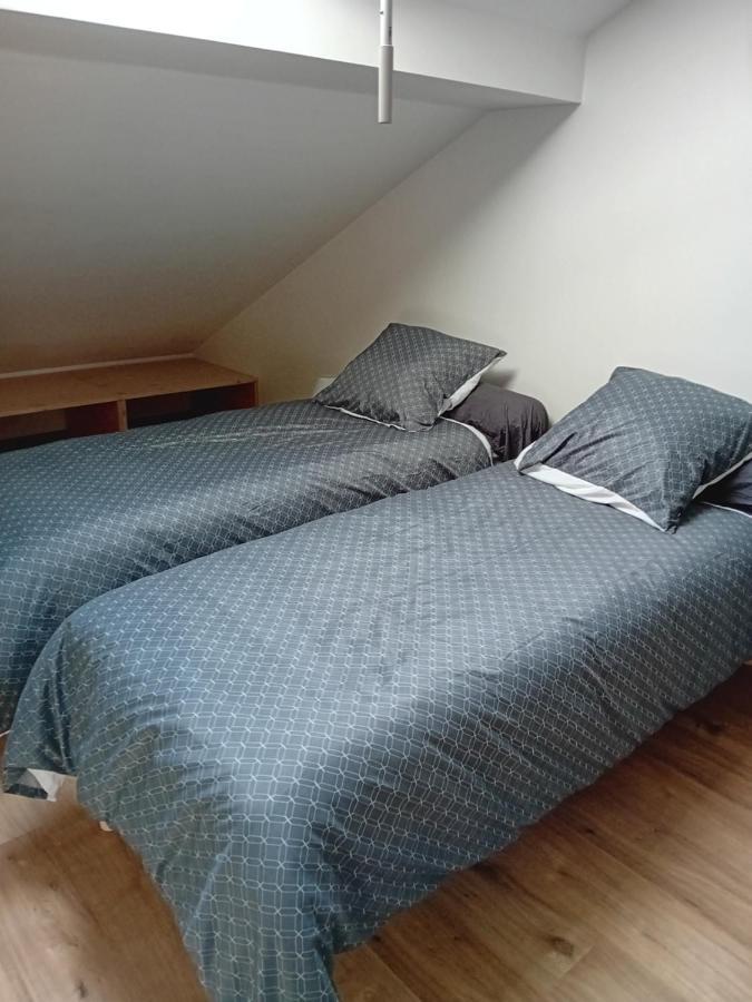 La Bienvenue Apartment Saint-Michel-sur-Meurthe Ngoại thất bức ảnh